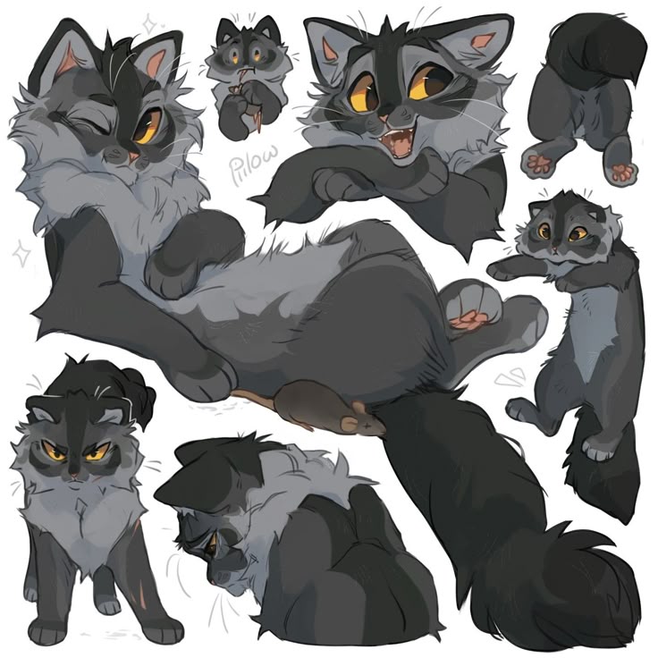 Graystripe: character reference sheet. Shaggy grey cat with darker back and lighter chest, large amber eyes, several poses and expressions.